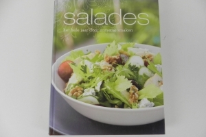 Saladeshet hele jaar door zomerse smaken Y0192
