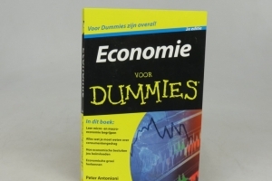 Economie voor dummies