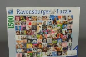 puzzel 99 katten