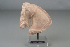 Sculptuur van een paard
