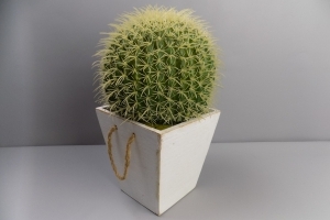 plastice cactus met witte houte pot